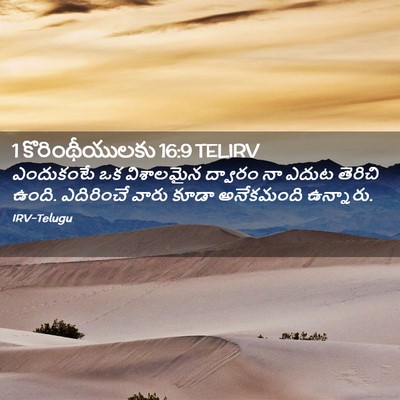 Picture 02 - 1 కొరింథీయులకు 16:9 TELIRV - ఎందుకంటే ఒక - Bible Verse Picture