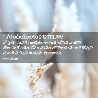 Picture 02 - 1 కొరింథీయులకు 2:12 TELIRV - దేవుడు మనకు - Bible Verse Picture