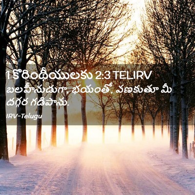 Picture 02 - 1 కొరింథీయులకు 2:3 TELIRV - బలహీనుడుగా, భయంతో, - Bible Verse Picture