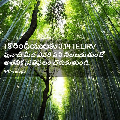 Picture 02 - 1 కొరింథీయులకు 3:14 TELIRV - పునాది మీద ఎవరి - Bible Verse Picture