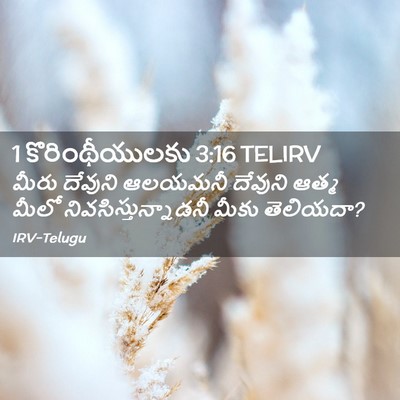 Picture 02 - 1 కొరింథీయులకు 3:16 TELIRV - మీరు దేవుని - Bible Verse Picture