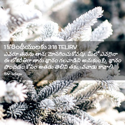 Picture 02 - 1 కొరింథీయులకు 3:18 TELIRV - ఎవరూ తనను తాను - Bible Verse Picture