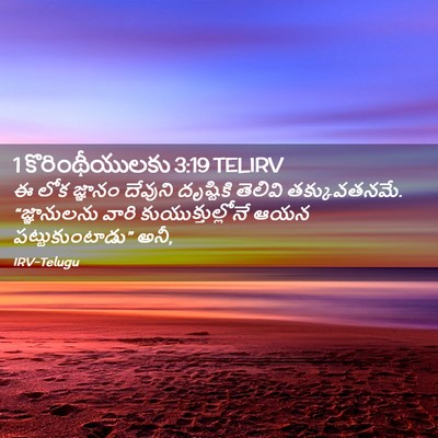 Picture 02 - 1 కొరింథీయులకు 3:19 TELIRV - ఈ లోక జ్ఞానం - Bible Verse Picture