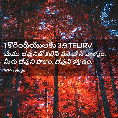 Picture 02 - 1 కొరింథీయులకు 3:9 TELIRV - మేము దేవునితో - Bible Verse Picture