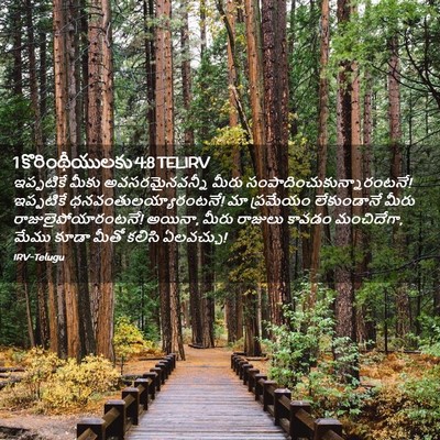 Picture 02 - 1 కొరింథీయులకు 4:8 TELIRV - ఇప్పటికే మీకు - Bible Verse Picture
