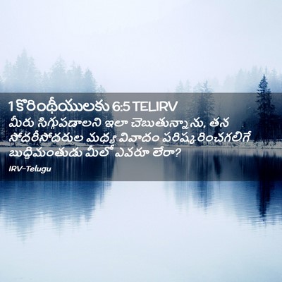 Picture 02 - 1 కొరింథీయులకు 6:5 TELIRV - మీరు సిగ్గుపడాలని - Bible Verse Picture