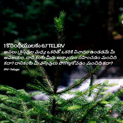 Picture 02 - 1 కొరింథీయులకు 6:7 TELIRV - అసలు క్రైస్తవుల - Bible Verse Picture
