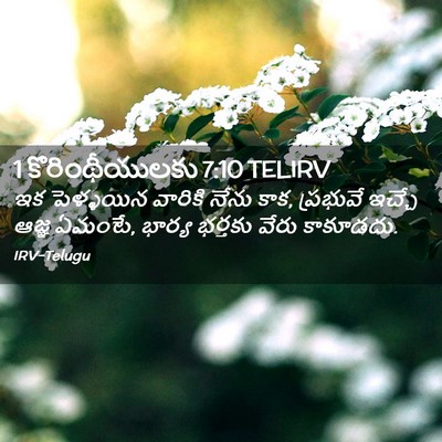 Picture 02 - 1 కొరింథీయులకు 7:10 TELIRV - ఇక పెళ్ళయిన - Bible Verse Picture