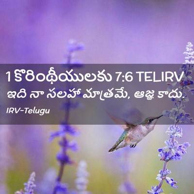 Picture 02 - 1 కొరింథీయులకు 7:6 TELIRV - ఇది నా సలహా - Bible Verse Picture