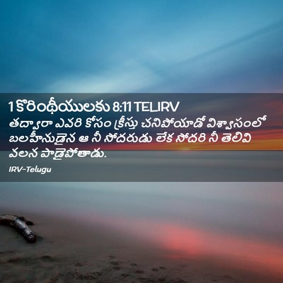 Picture 02 - 1 కొరింథీయులకు 8:11 TELIRV - తద్వారా ఎవరి కోసం - Bible Verse Picture