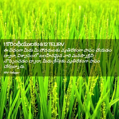 Picture 02 - 1 కొరింథీయులకు 8:12 TELIRV - ఈ విధంగా మీరు మీ - Bible Verse Picture