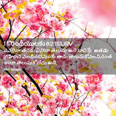 Picture 02 - 1 కొరింథీయులకు 8:2 TELIRV - ఎవరైనా తనకు ఏదైనా - Bible Verse Picture
