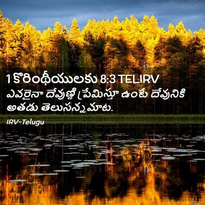 Picture 02 - 1 కొరింథీయులకు 8:3 TELIRV - ఎవరైనా దేవుణ్ణి - Bible Verse Picture
