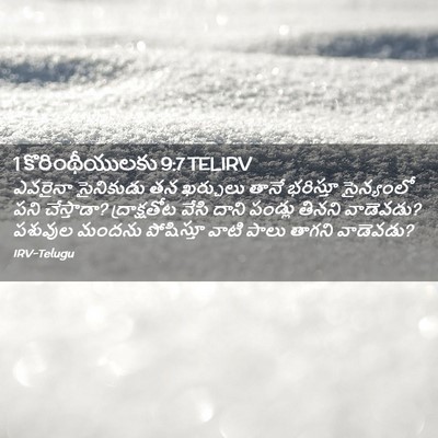 Picture 02 - 1 కొరింథీయులకు 9:7 TELIRV - ఎవరైనా సైనికుడు - Bible Verse Picture