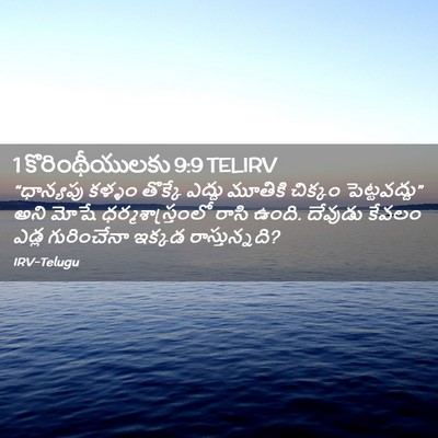 Picture 02 - 1 కొరింథీయులకు 9:9 TELIRV - “ధాన్యపు కళ్ళం - Bible Verse Picture