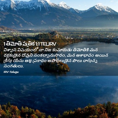Picture 02 - 1 తిమోతి పత్రిక 1:1 TELIRV - విశ్వాస విషయంలో - Bible Verse Picture