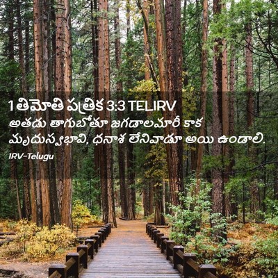 Picture 02 - 1 తిమోతి పత్రిక 3:3 TELIRV - అతడు తాగుబోతూ - Bible Verse Picture