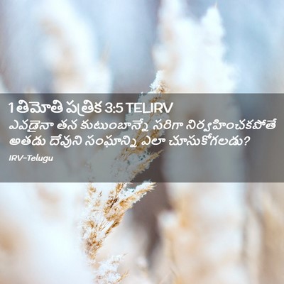 Picture 02 - 1 తిమోతి పత్రిక 3:5 TELIRV - ఎవడైనా తన - Bible Verse Picture