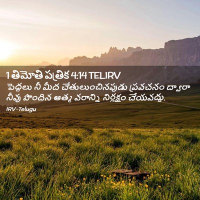 Picture 02 - 1 తిమోతి పత్రిక 4:14 TELIRV - పెద్దలు నీ మీద - Bible Verse Picture