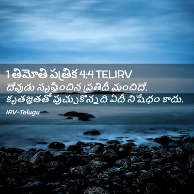 Picture 02 - 1 తిమోతి పత్రిక 4:4 TELIRV - దేవుడు సృష్టించిన - Bible Verse Picture