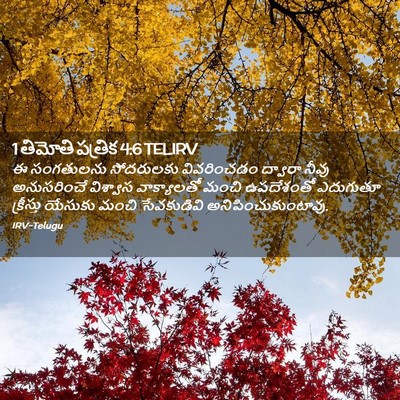 Picture 02 - 1 తిమోతి పత్రిక 4:6 TELIRV - ఈ సంగతులను - Bible Verse Picture