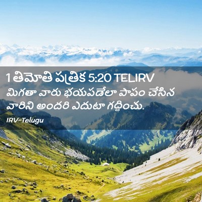 Picture 02 - 1 తిమోతి పత్రిక 5:20 TELIRV - మిగతా వారు - Bible Verse Picture