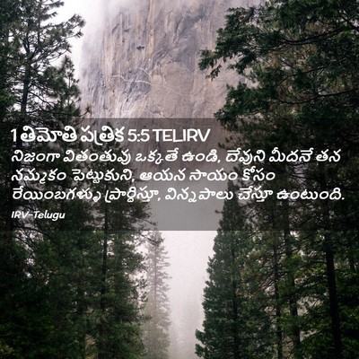 Picture 02 - 1 తిమోతి పత్రిక 5:5 TELIRV - నిజంగా వితంతువు - Bible Verse Picture