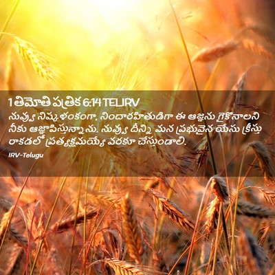 Picture 02 - 1 తిమోతి పత్రిక 6:14 TELIRV - నువ్వు - Bible Verse Picture
