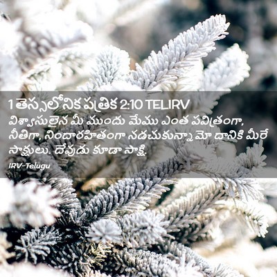 Picture 02 - 1 తెస్సలోనిక పత్రిక 2:10 TELIRV - విశ్వాసులైన మీ - Bible Verse Picture