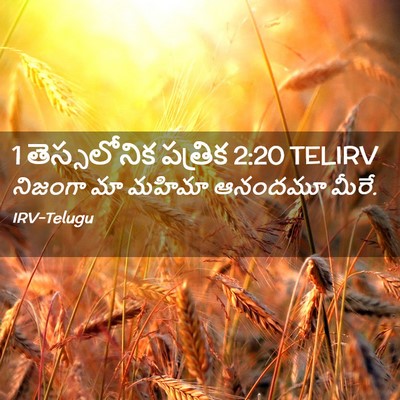 Picture 02 - 1 తెస్సలోనిక పత్రిక 2:20 TELIRV - నిజంగా మా మహిమా - Bible Verse Picture