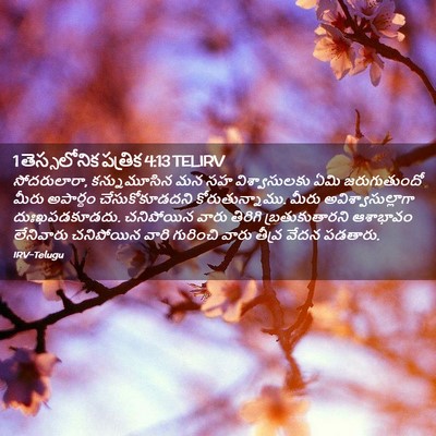 Picture 02 - 1 తెస్సలోనిక పత్రిక 4:13 TELIRV - సోదరులారా, - Bible Verse Picture