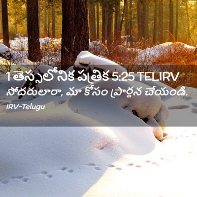 Picture 02 - 1 తెస్సలోనిక పత్రిక 5:25 TELIRV - సోదరులారా, మా కోసం - Bible Verse Picture