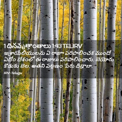 Picture 02 - 1 దినవృత్తాంతాలు 1:43 TELIRV - ఇశ్రాయేలీయులను ఏ - Bible Verse Picture