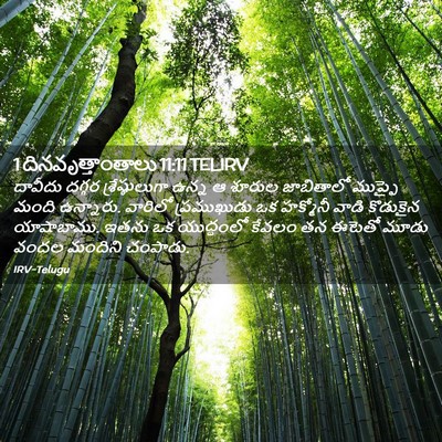 Picture 02 - 1 దినవృత్తాంతాలు 11:11 TELIRV - దావీదు దగ్గర - Bible Verse Picture