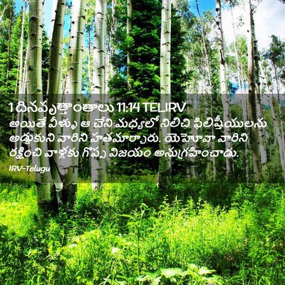 Picture 02 - 1 దినవృత్తాంతాలు 11:14 TELIRV - అయితే వీళ్ళు ఆ - Bible Verse Picture