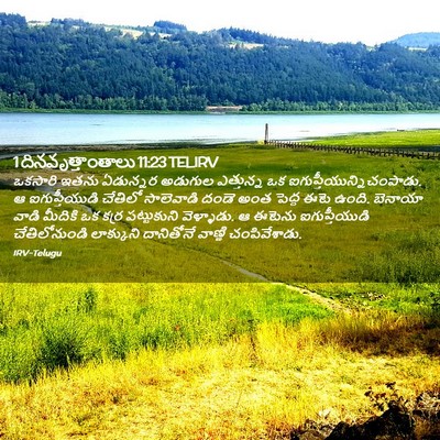 Picture 02 - 1 దినవృత్తాంతాలు 11:23 TELIRV - ఒకసారి ఇతను - Bible Verse Picture