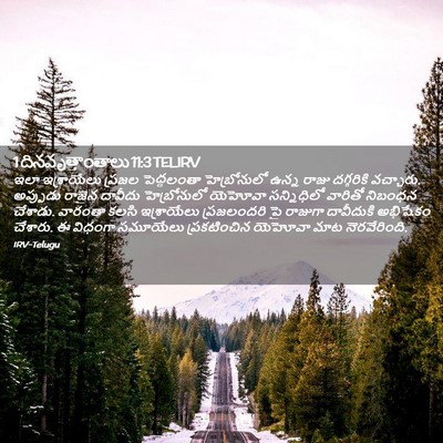 Picture 02 - 1 దినవృత్తాంతాలు 11:3 TELIRV - ఇలా ఇశ్రాయేలు - Bible Verse Picture