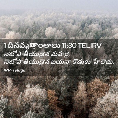 Picture 02 - 1 దినవృత్తాంతాలు 11:30 TELIRV - నెటోపాతీయుడైన - Bible Verse Picture