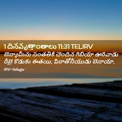 Picture 02 - 1 దినవృత్తాంతాలు 11:31 TELIRV - బెన్యామీను - Bible Verse Picture