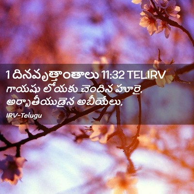 Picture 02 - 1 దినవృత్తాంతాలు 11:32 TELIRV - గాయషు లోయకు - Bible Verse Picture
