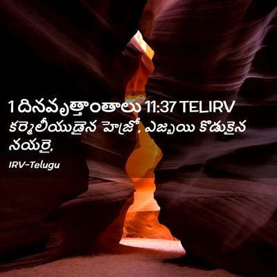 Picture 02 - 1 దినవృత్తాంతాలు 11:37 TELIRV - కర్మెలీయుడైన - Bible Verse Picture