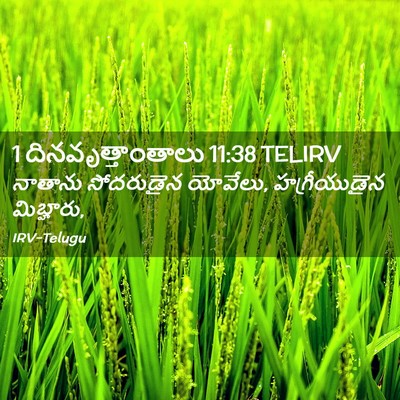 Picture 02 - 1 దినవృత్తాంతాలు 11:38 TELIRV - నాతాను సోదరుడైన - Bible Verse Picture