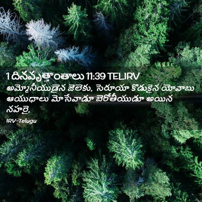 Picture 02 - 1 దినవృత్తాంతాలు 11:39 TELIRV - అమ్మోనీయుడైన - Bible Verse Picture