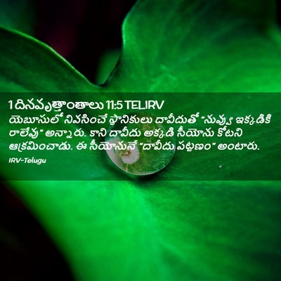 Picture 02 - 1 దినవృత్తాంతాలు 11:5 TELIRV - యెబూసులో నివసించే - Bible Verse Picture