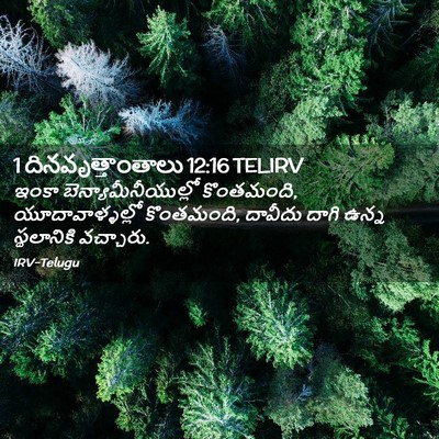 Picture 02 - 1 దినవృత్తాంతాలు 12:16 TELIRV - ఇంకా - Bible Verse Picture