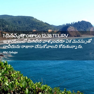 Picture 02 - 1 దినవృత్తాంతాలు 12:38 TELIRV - ఇశ్రాయేలులో - Bible Verse Picture