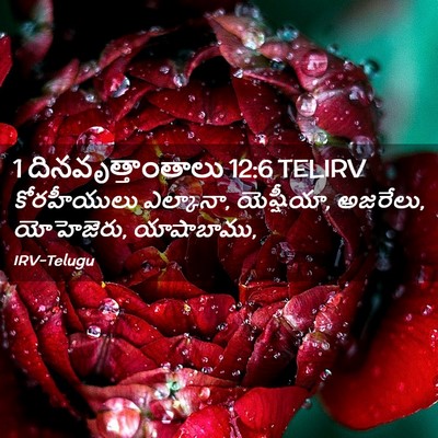 Picture 02 - 1 దినవృత్తాంతాలు 12:6 TELIRV - కోరహీయులు - Bible Verse Picture