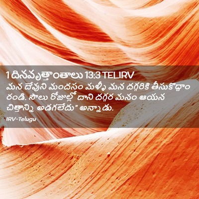 Picture 02 - 1 దినవృత్తాంతాలు 13:3 TELIRV - మన దేవుని మందసం - Bible Verse Picture