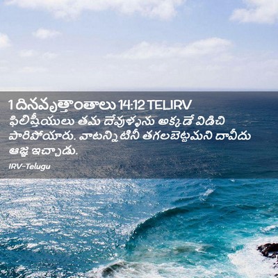 Picture 02 - 1 దినవృత్తాంతాలు 14:12 TELIRV - ఫిలిష్తీయులు తమ - Bible Verse Picture