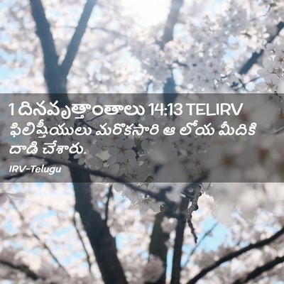 Picture 02 - 1 దినవృత్తాంతాలు 14:13 TELIRV - ఫిలిష్తీయులు - Bible Verse Picture